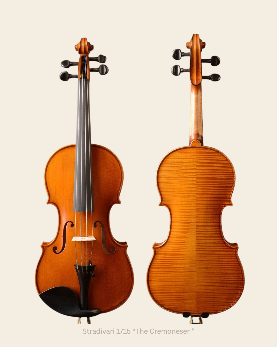 Violino Stradivari 1715 The Cremoneser